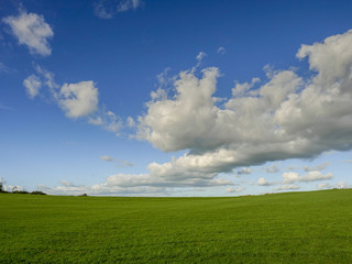 Pasture with white clouds and blue sky.