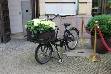 Fototapeta na wymiar Berlin Velo et fleurs
