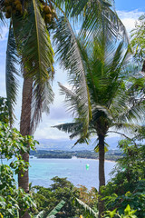 Beautiful blue lagoon view through the palm trees