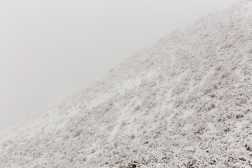Fototapeta premium Fog in Mountain, Mazandaran, Iran