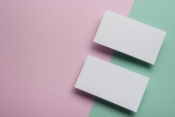 Business cards Mockup on color background. Flat Lay. copy space for text