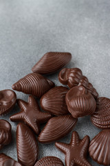 chocolate candies, traditional Belgian shell shape on grey background, place for text