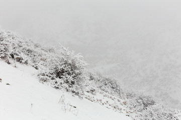Fototapeta premium Filband, Mazandaran, Iran