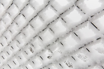 Fence in Winter, Mazandaran, Iran