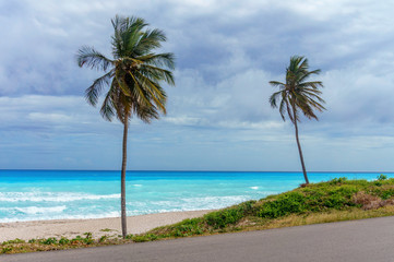 Perfect Caribbean empty beach with azure sea and two high green palm trees