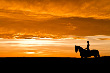 Silhouette of person riding a horse at sunset
