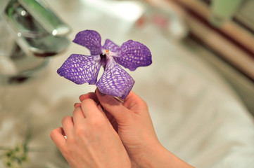 Two hands holding a violet purple orchid flower in bathroom