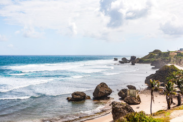 Fototapeta na wymiar Waves Break on the Bathsheba Beach, in Barbados, with a View of Sea-stacks, Limestone and Palm Trees