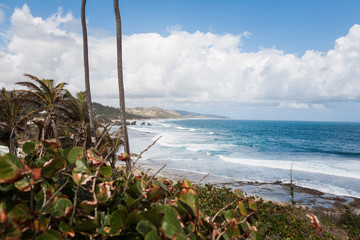 A View of Waves Breaking on a Sandy Beach in Barbados, Palm Trees, Clouds and Blue Sky	