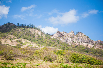 Fototapeta na wymiar A Panoramic View of a Landscape, in Barbados, Limestone, Rock, Hills