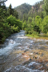 flowing mountain stream