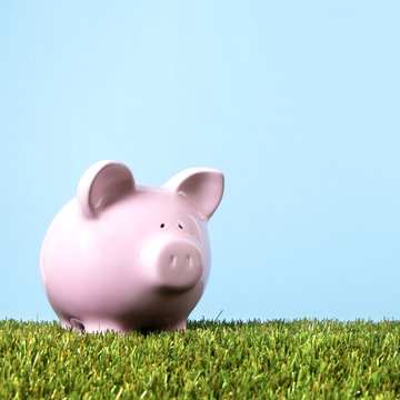 Pink piggy bank or piggybank in a summer meadow or field green grass blue sky planning money for rainy day retirement or vacation photo square format