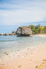 Fototapeta na wymiar Sea-stacks on Bathsheba Beach in Barbados, Sand, Palm Trees 