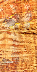 abstract background texture of the   rock