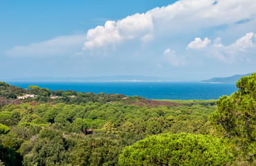 Landscape of sea with blue water, trees and clouds, Tuscany, Italy