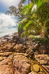 Rocks tropical beach