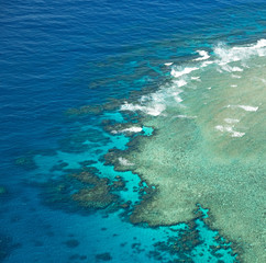  the great reef from the high