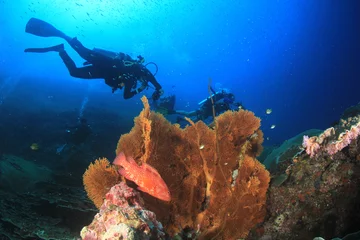 Outdoor kussens Scuba divers explore coral reef and fish © Richard Carey