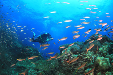 Fototapeta na wymiar Scuba divers explore coral reef and fish