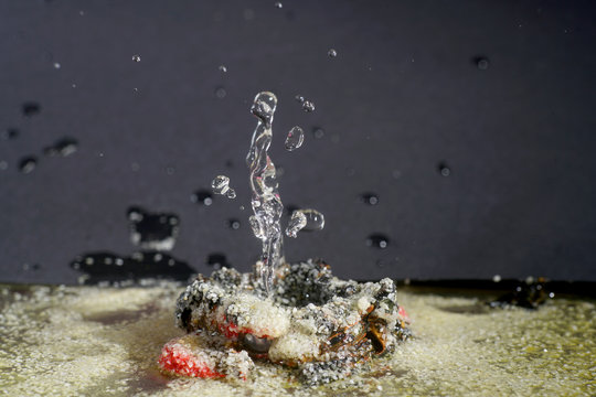 Imaginative sculptures of water droplets in high speed
