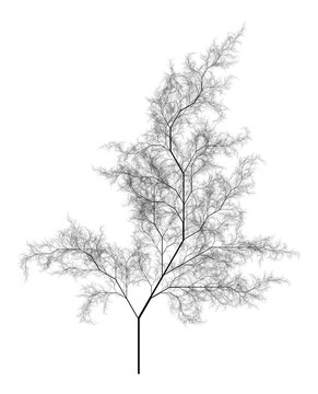 Flat   Computer Generated Self-Similar L-system Branching Tree Fractal  - Generative Art  
