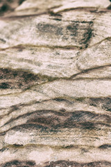 abstract background texture of the   rock