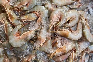 Lot of shrimps on market