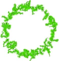 Green Moss Fiber Sprouts Round Frame -   Filamentary Plexus Bundle
