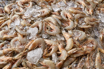 Many shrimps on market
