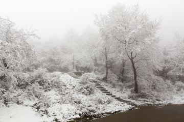 Fototapeta premium Filband's Road, Mazandaran, Iran