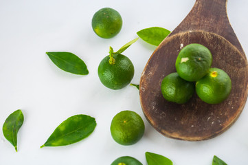 Lime isolated on white background
