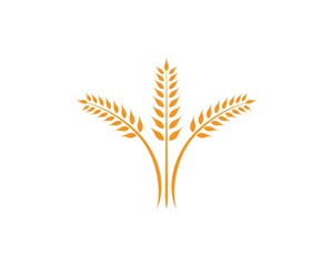 wheat Logo Template vector icon design 