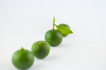 Lime isolated on white background