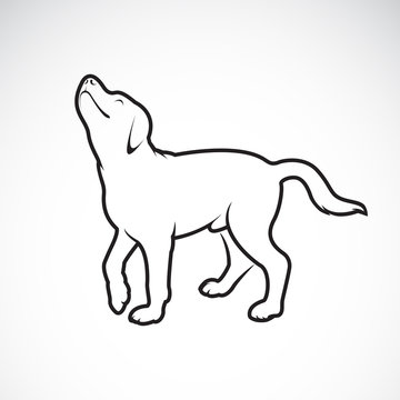 Vector of a dog labrador on white background. Pet. Animals. Easy editable layered vector illustration.