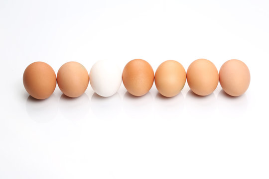 chicken eggs lie in a row on white background.