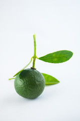 Lime isolated on white background
