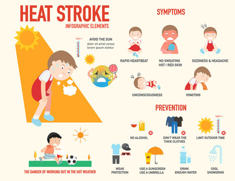 Heat Stroke Risk Sign And Symptom And Prevention Infographic, Illustration.