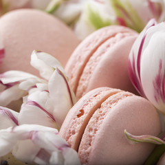 Fototapeta na wymiar Cake macaron or macaroon and tulips, pastel colors, soft focus