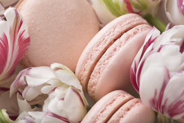 Cake macaron or macaroon and tulips, pastel colors, soft focus