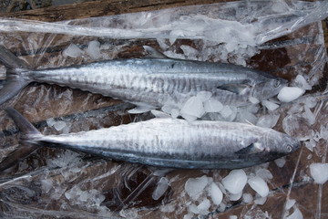 Two tuna fish at the market.