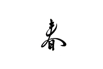 the Chinese character translates as spring