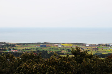 Beautiful Scenery of Jeju Island / Scenery Picture of Jeju Island, Korea