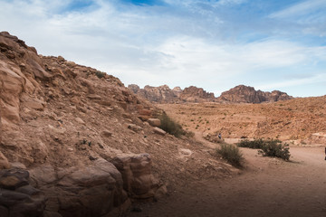 Siq canyon, which goes to the ancient city Petra and rocks in it