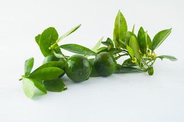 Lime. Fresh fruit with leaf isolated on white background.
