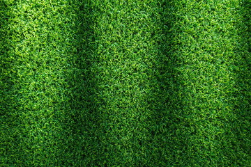 Obraz premium Grass field texture for golf course, soccer field or sports background concept design. Artificial grass.