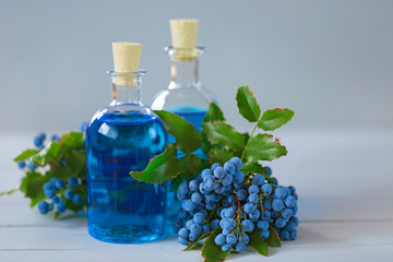 Mahonia aquifolium. bright blue medicinal tincture of Mahonia aquifolium. homeopathic tincture  set in glass bottles and Mahonia berries and leaves  on a gray wooden plank background.Natural pharmacy 