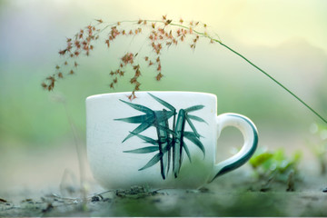Cup of coffee in the morning with .grass in nature