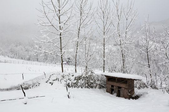 Winter in Talesh, Gilan, Iran