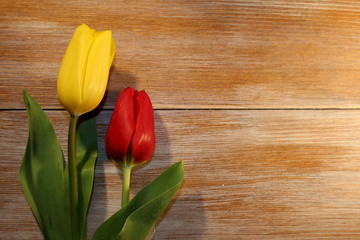  Красивые красные и желтые тюльпаны  которые лежат на деревянных досках       