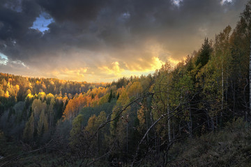 view from the hill to the sunset in the autumn forest